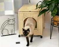 pets-furniture-cats14