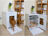 pets-furniture-cats39