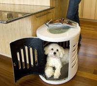 pets-furniture-dogs12