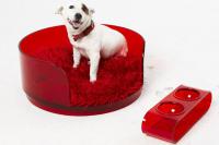 pets-furniture-dogs16