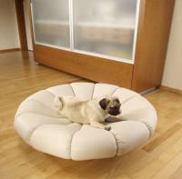 pets-furniture-dogs2