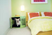 pets-furniture-dogs7