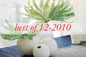 best10-winter-colors-plants-cocktail