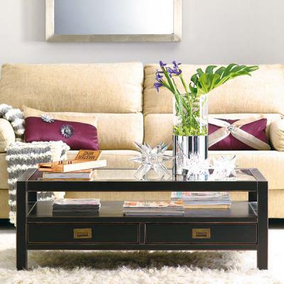 decor-ideas-for-sofa-and-coffee-table-tricks1