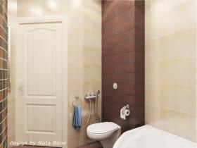 project-tile-in-bathroom15-3