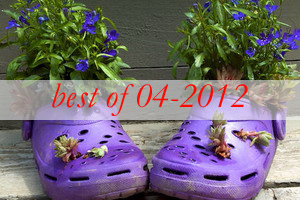 best9-shoes-container-garden