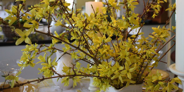 blooming-branches-spring-table-setting2