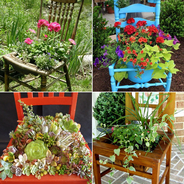 planting-flowers-in-chairs