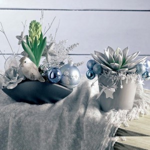 blooming-plants-new-year-decoration2