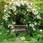 amazing-gardens-like-of-fairy-tales