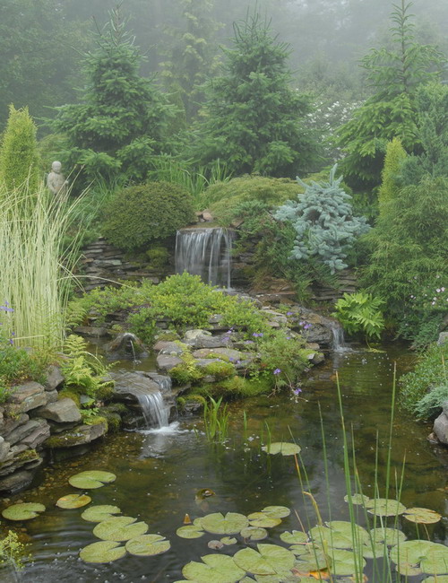 amazing-gardens-like-of-fairy-tales11