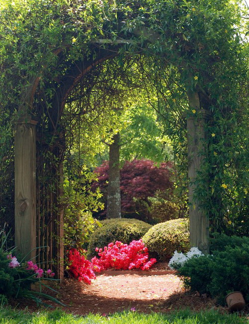 amazing-gardens-like-of-fairy-tales12