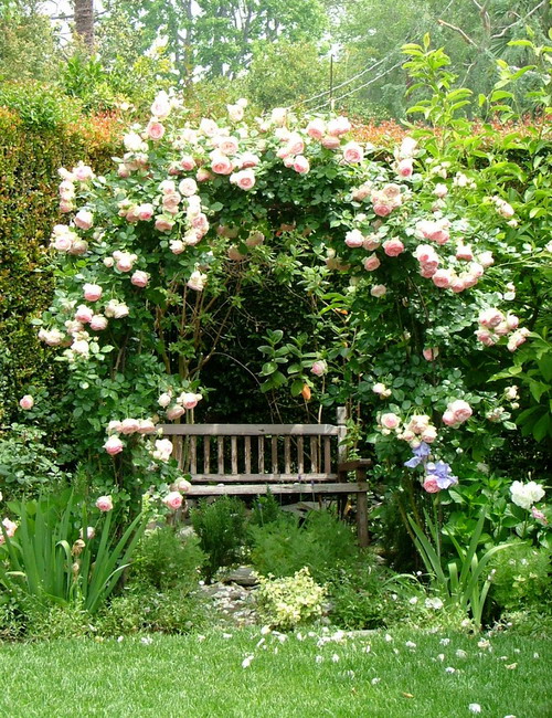 amazing-gardens-like-of-fairy-tales7
