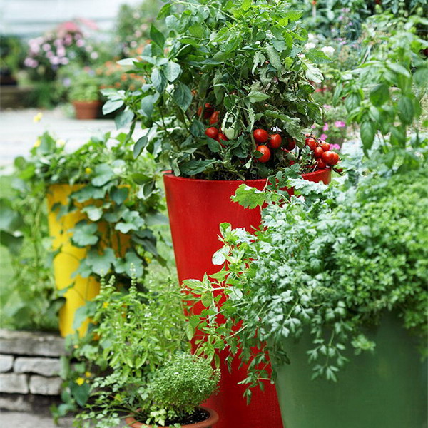 design-ideas-to-grow-veggies-in-containers