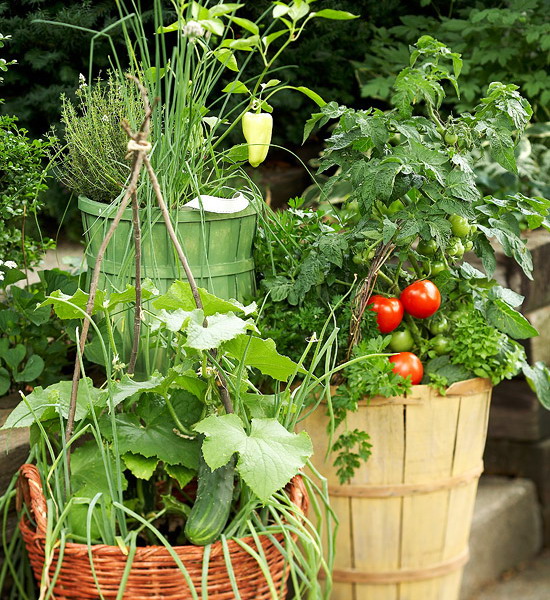 design-ideas-to-grow-veggies-in-containers10