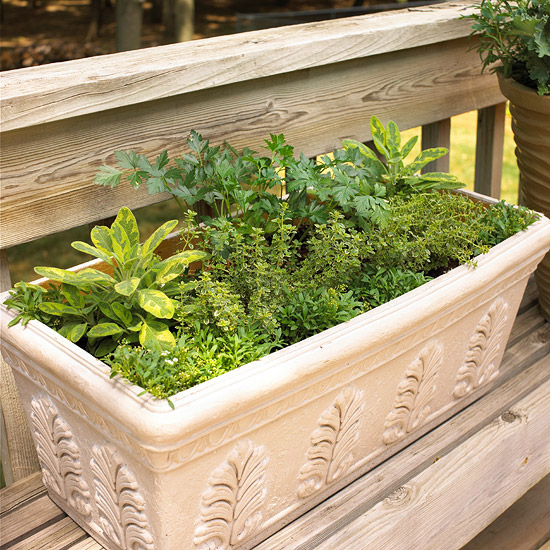 design-ideas-to-grow-veggies-in-containers14