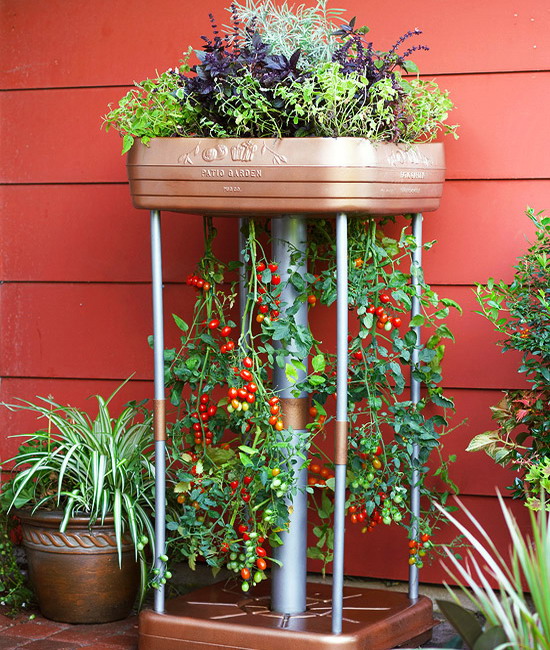 design-ideas-to-grow-veggies-in-containers20