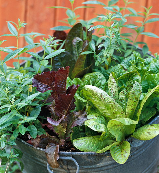 design-ideas-to-grow-veggies-in-containers6