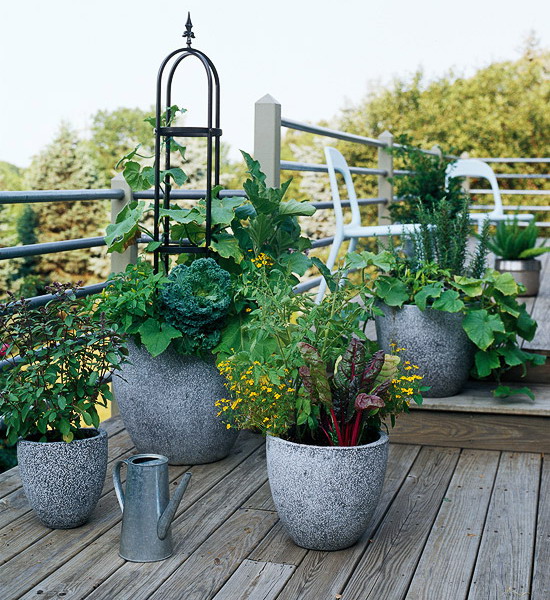 design-ideas-to-grow-veggies-in-containers7