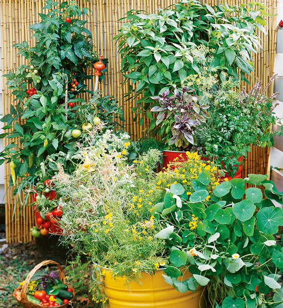 design-ideas-to-grow-veggies-in-containers9