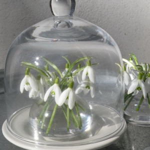 spring-flowers-creative-vases1-6-1