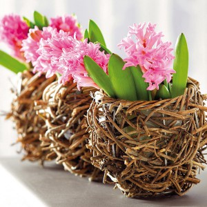 spring-flowers-creative-vases4-2-1