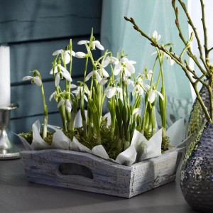 spring-flowers-creative-vases4-3-2