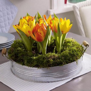 spring-flowers-creative-vases5-3-2