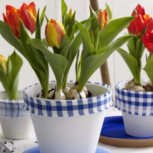 spring-flowers-creative-vases7-2-1