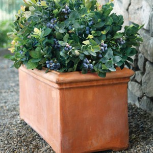creative-use-large-pots-and-containers-in-garden22-2
