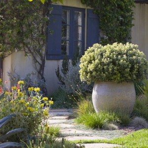 creative-use-large-pots-and-containers-in-garden7-1