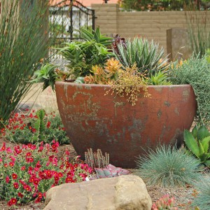 creative-use-large-pots-and-containers-in-garden7-2