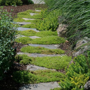 garden-path-good-looking-ideas2-2