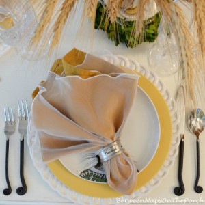 fall-inspired-table-setting-by-bnotp-1-issue1-5