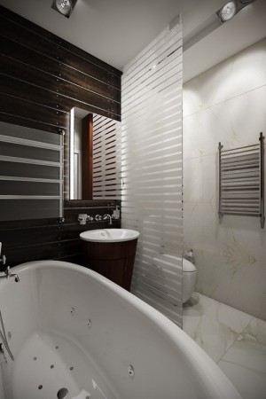 apartment-projects-n155-23bath