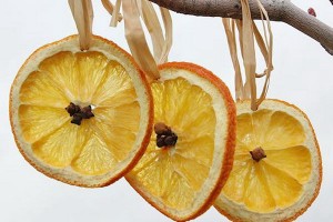 citrus-slices-new-year-deco1-2-1