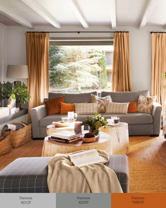 livingroom-palette-60-30-10-rule10