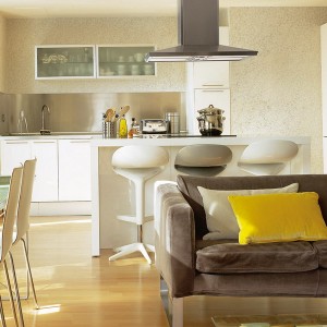 ergonomic-rules-in-small-apartment-1-livingroom6