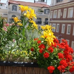 balcony-flowers-ideas2-4.jpg