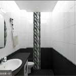 bathroom-contrast-black-and-white7-2.jpg