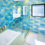 bathroom-in-blue-combo-misc2.jpg
