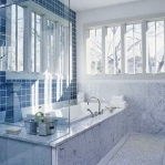 bathroom-in-blue-muted3.jpg
