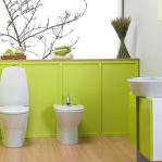 bathroom-in-green-furniture4.jpg