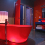 bathroom-in-red-sanity5.jpg