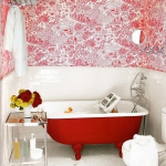 bathroom-in-red-wall-maxi11.jpg