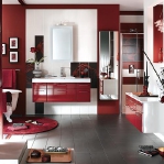 bathroom-in-red-wall-mini8.jpg