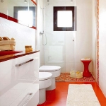 bathroom-in-white-plus-other-colors2-1.jpg