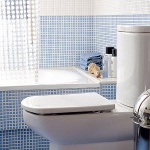 bathroom-in-white-plus-other-colors8-3.jpg