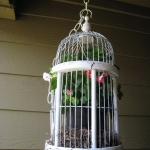 bird-cage-decoration3-15.jpg