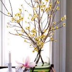 blooming-branches-in-home8.jpg